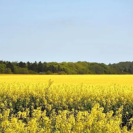 Reethaeuser Auf Ruegen Szálloda 3*